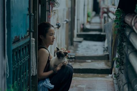 'Expats' Prime Video Series: Lulu Wang Interview .